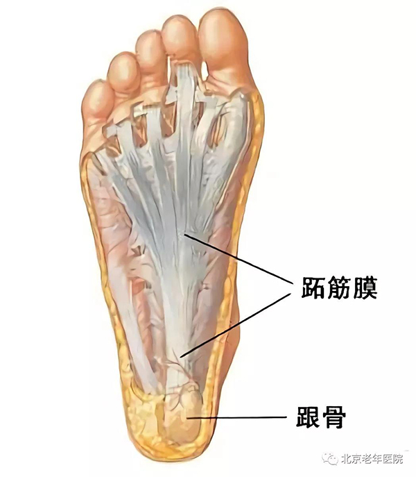 微信图片_20210106180320.jpg