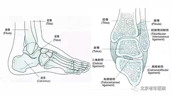 微信图片_20210106180400.jpg