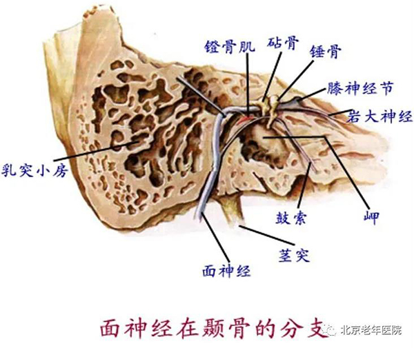 微信图片_20210106180758.jpg