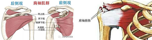 微信图片_20210106180944.jpg