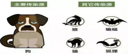 微信图片_20210607172709.jpg