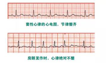 微信图片_20210909152906.jpg