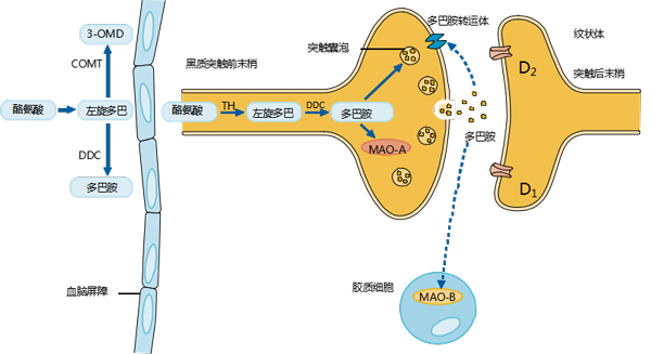 微信图片_20210909152939.jpg