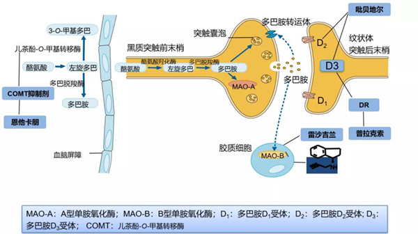 微信图片_20211029140831.jpg