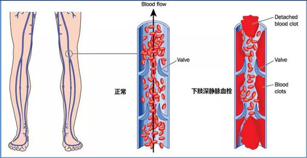微信图片_20220112173207.jpg