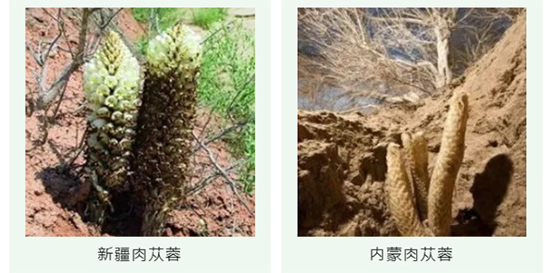未标题-1.jpg