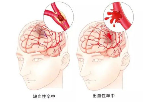 微信图片_20221031132756.jpg