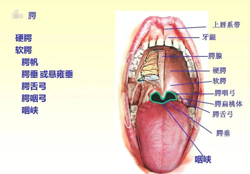 微信图片_20221101142716.jpg