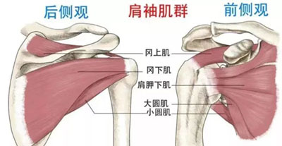 微信图片_20221116135721.jpg