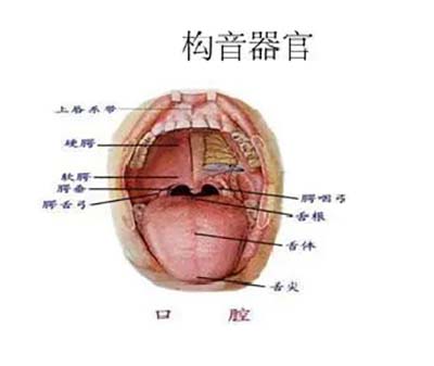 微信图片_20221129104110.jpg