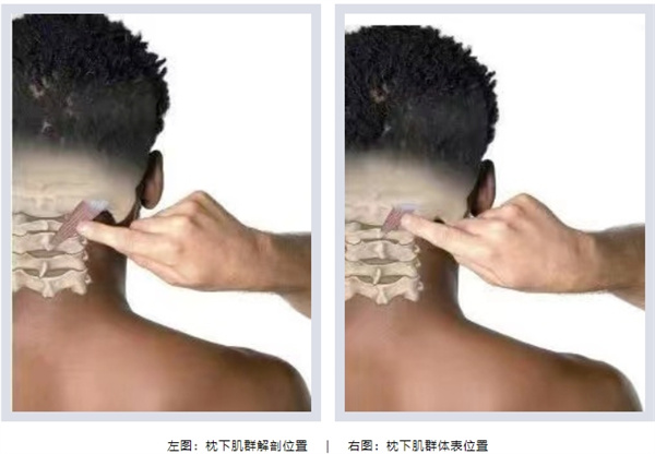 微信截图_20250217090906.jpg