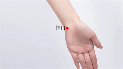 微信图片_20250324162306.jpg
