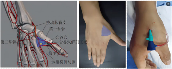 微信图片_20250409170154.jpg