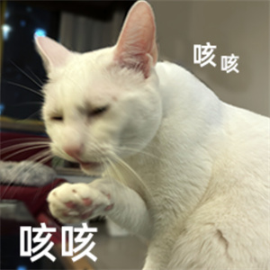 微信图片_20250611161404.jpg