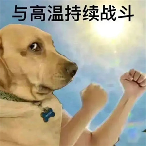 微信图片_20250711085816.jpg