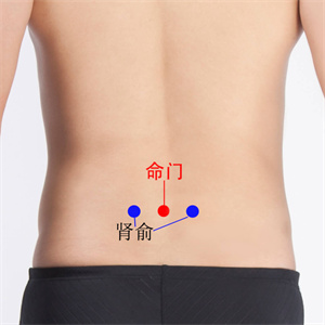 微信图片_2025-11-24_093326_458.jpg 微信图片_2025-11-24_093326_458.jpg