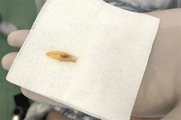 微信图片_2025-12-03_151426_833.jpg 微信图片_2025-12-03_151426_833.jpg