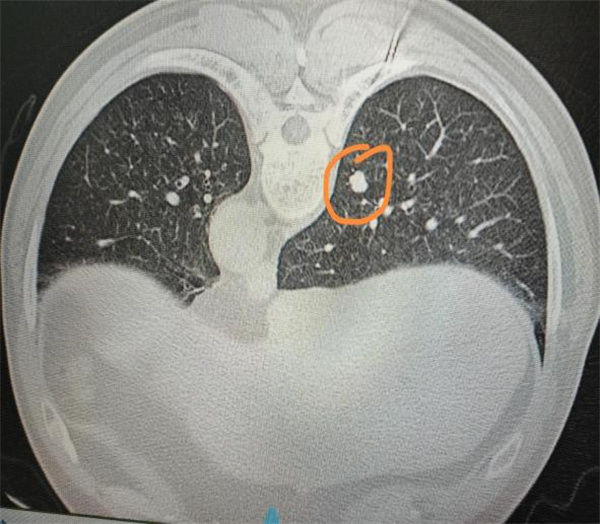 微信图片_2025-12-05_172801_721.jpg 微信图片_2025-12-05_172801_721.jpg