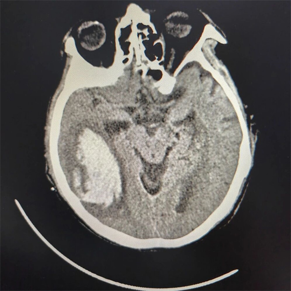 微信图片_2025-12-10_170450_867.jpg 微信图片_2025-12-10_170450_867.jpg