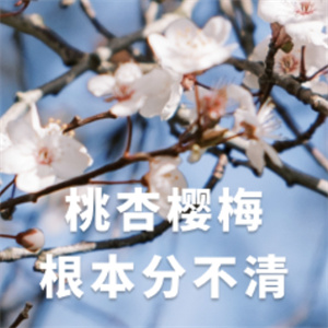 微信图片_2026-03-25_103315_046.jpg 微信图片_2026-03-25_103315_046.jpg